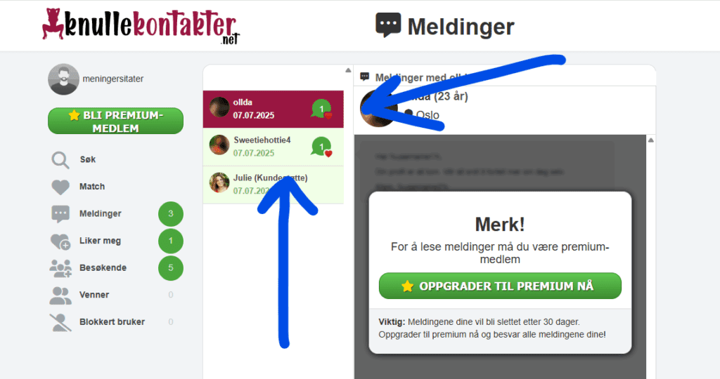 Fiktive Profiler Knullekontakter.net