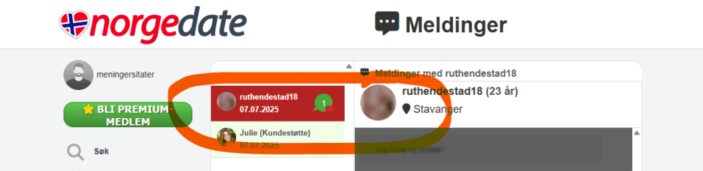 Vi mottar disse meldingene uten å kunne ta et profilbilde eller fylle ut beskrivelsen.