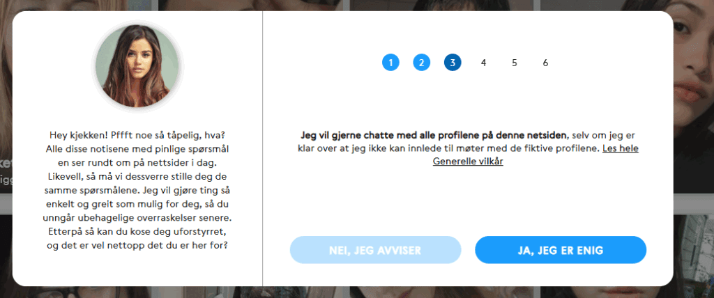 Når vi registrerer oss, blir vi allerede informert om at det finnes falske profiler.