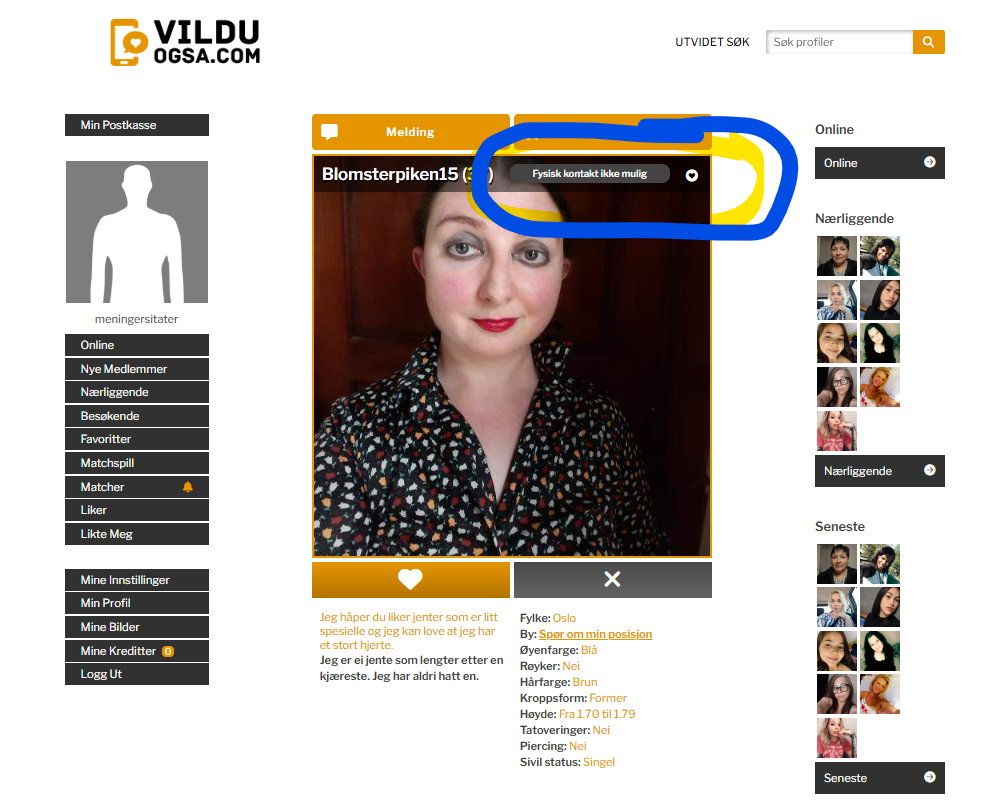 Se på dette skjermbildet og den delen som er merket med blått, det er en falsk profil.