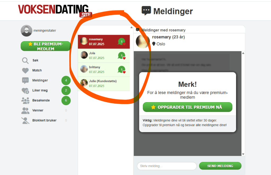da vi registrerte oss begynte vi å motta mange meldinger, og uten å legge inn et bilde!
