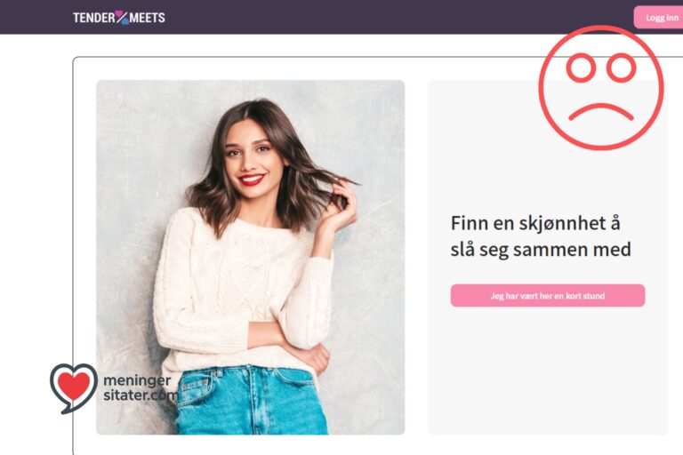 tendermeets svindel