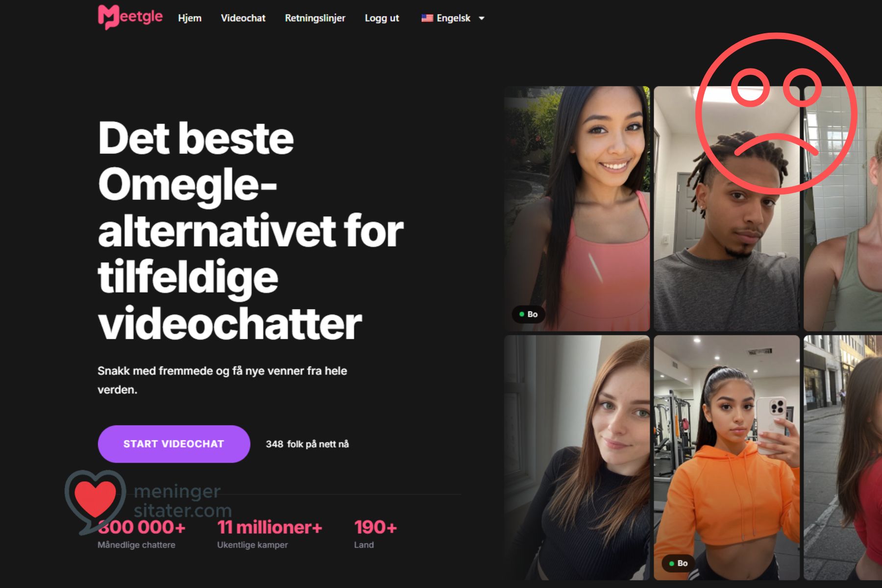 meetgle svindel